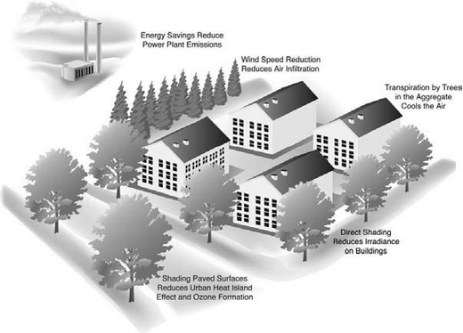 A well-landscaped home surrounded by trees, demonstrating the increase in property value.