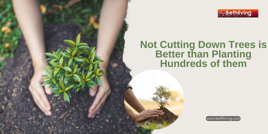 Not Cutting Down Trees is Better than Planting Hundreds of them Not Cutting Down Trees is Better than Planting Hundreds of them