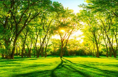 environmental sustainability.