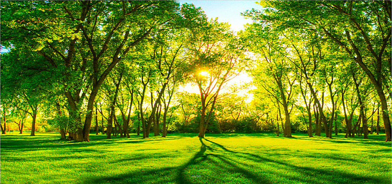 environmental sustainability.