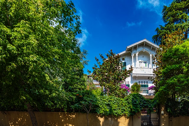 A well-landscaped home surrounded by trees, demonstrating the increase in property value.