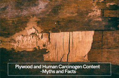 Formaldehyde Emissions in Plywood