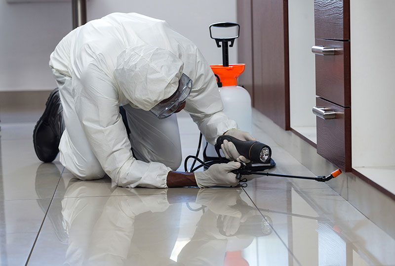 Health risks of pesticide exposure.