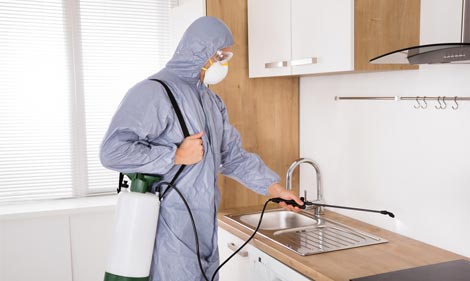 Health risks of pesticide exposure.