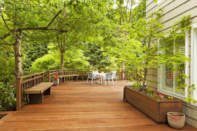 A well-landscaped home surrounded by trees, demonstrating the increase in property value.