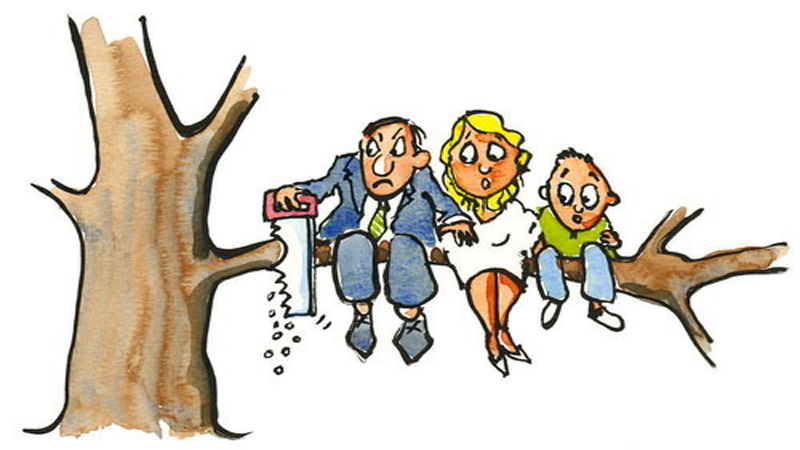 The harmful effects of deforestation